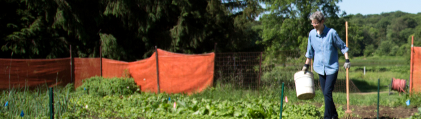 Sister Lynne, hoe in hand, working in garden, caring for the earth