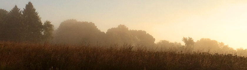 Mist rising over the prairie at Holy Wisdom Monastery