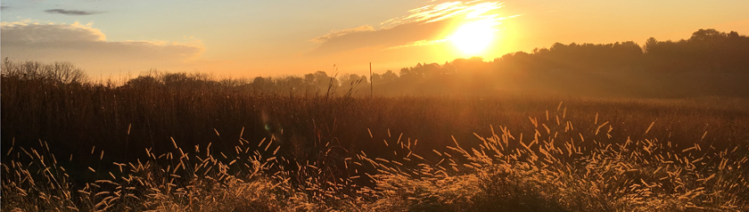 Sunrise over the prairie grasses at the monastery