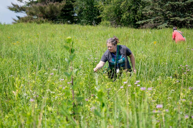 Stef Coleman - Grounded